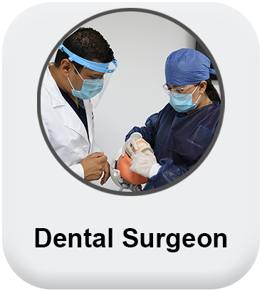 Dental surgeon
