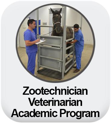 Zootechnician Veterinarian Academic Program