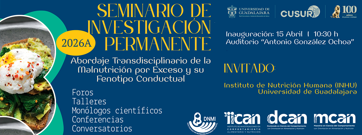 Seminario de Investigación Permanente IICAN 2026A