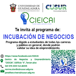 Programa de Incubación CIEICAI