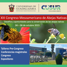 13 Congreso Mesoamericano de Abejas Nativas