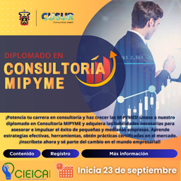 Diplomado en Consultoría MiPyMe 2023