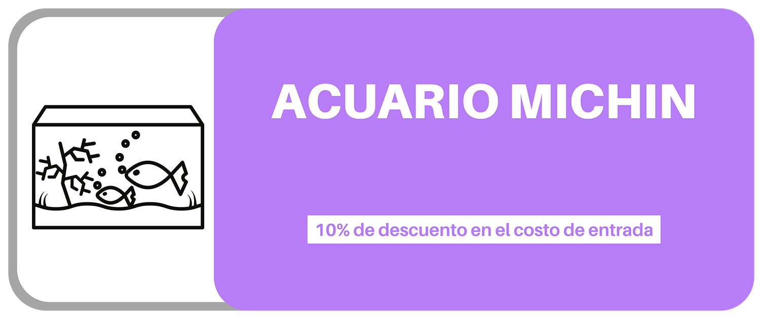 ACUARIO MICHIN