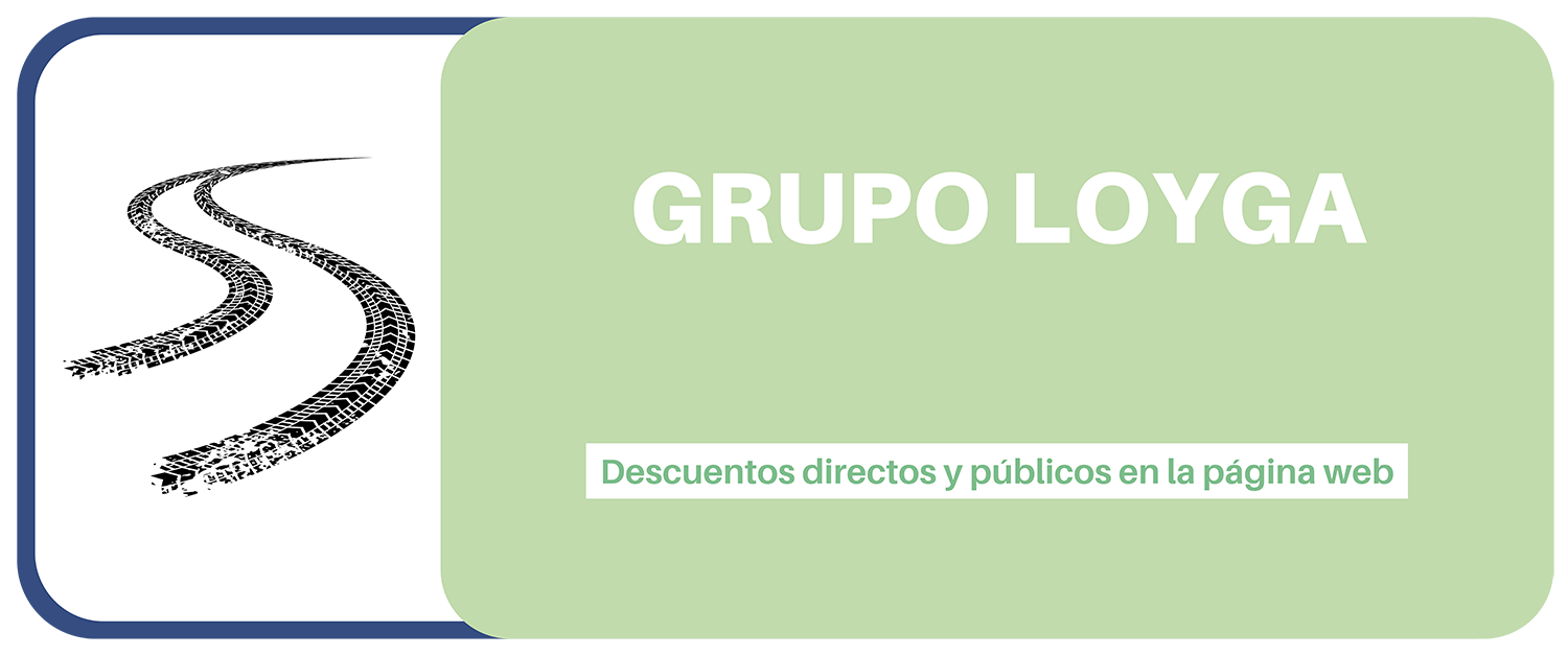 GRUPO LOYGA