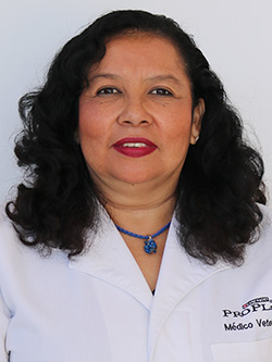 Adriana García Guzmán