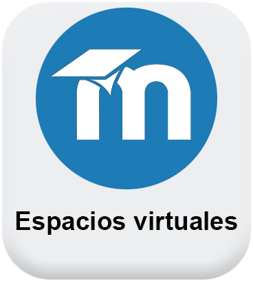 Servicios espacios virtuales