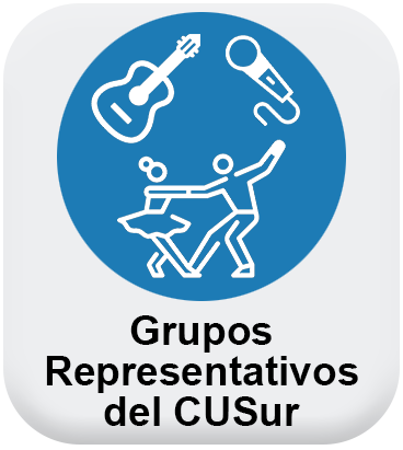 Servicios Grupos Representativos CUSur