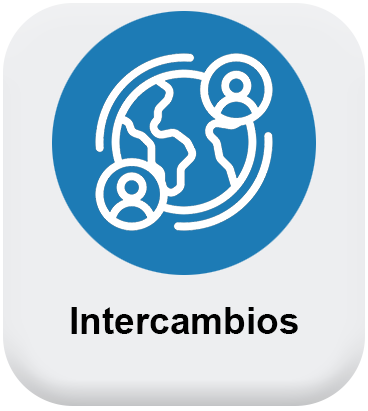 Servicios Intercambios