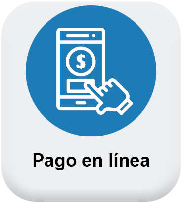 Servicios Pago en línea