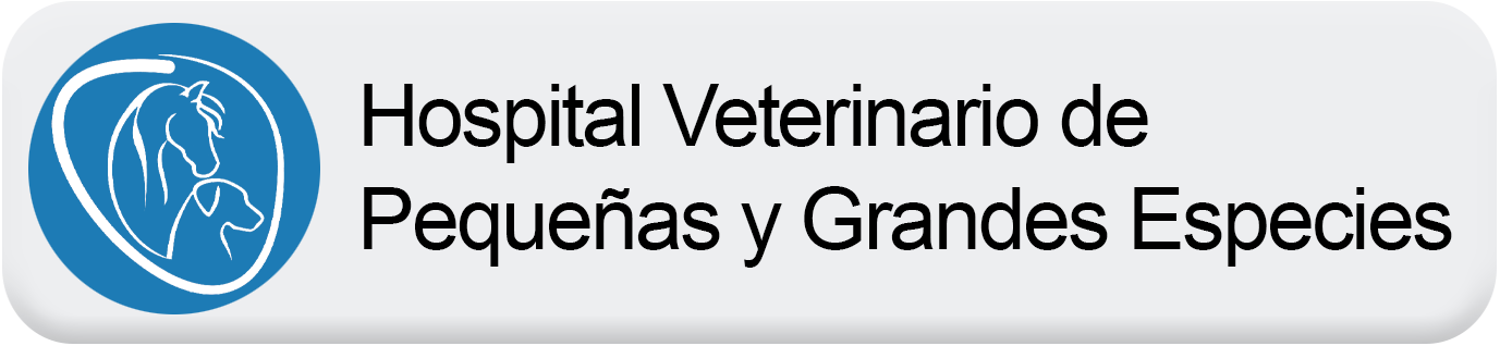 Hospital Veterinario