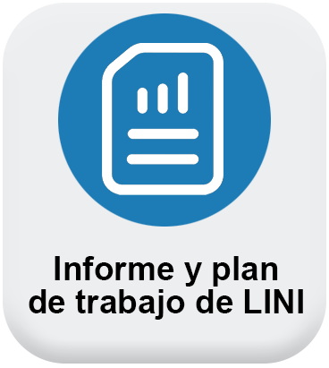 Informe y plan de trabajo de LINI