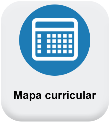 Mapa curricular