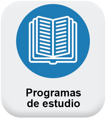 Boton programas estudio MCCAN