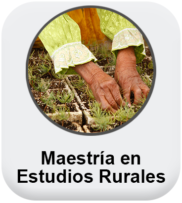 Boton Maestría en Estudios Rurales