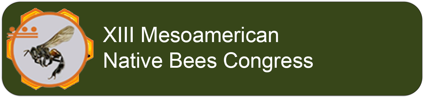 Button Mesoamerican Native Bees Congress