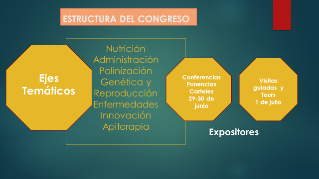 Imagen Estructura 7 congreso apicultura 1