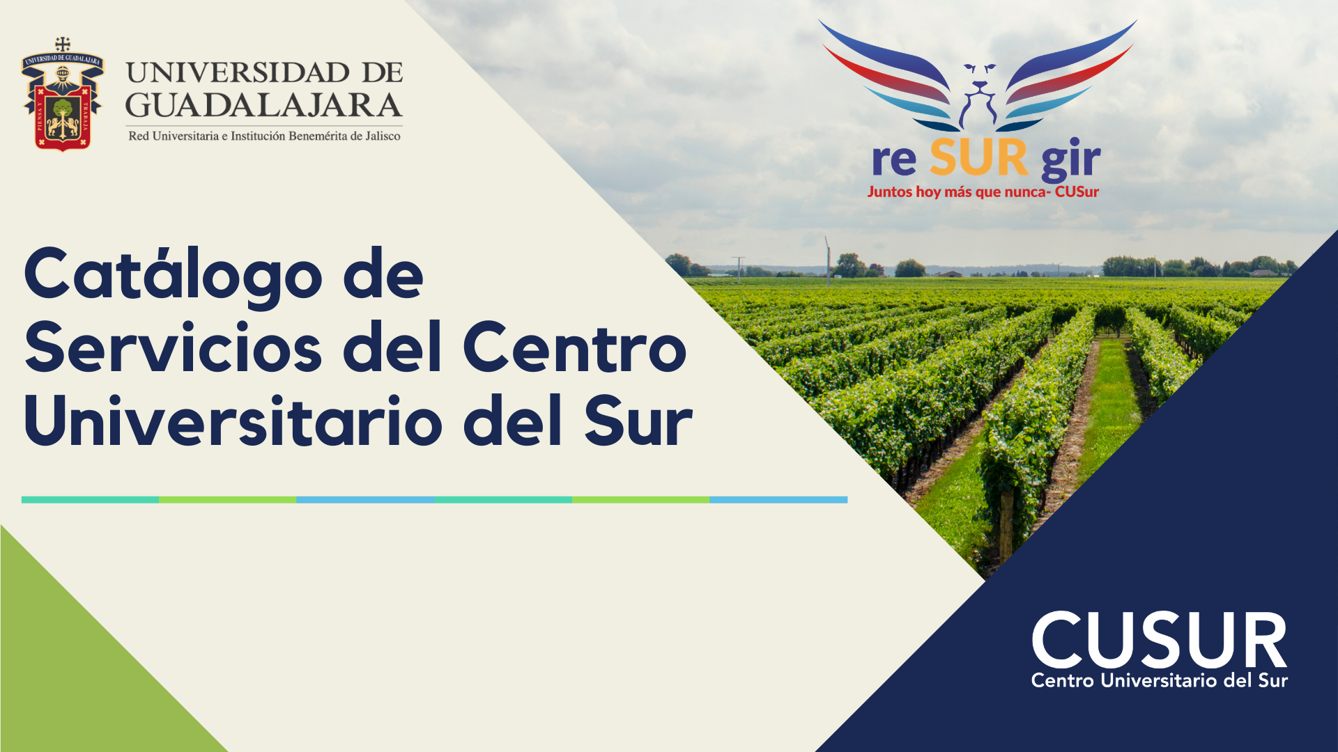 Imagen Servicios al Sector Agroalimentario 1