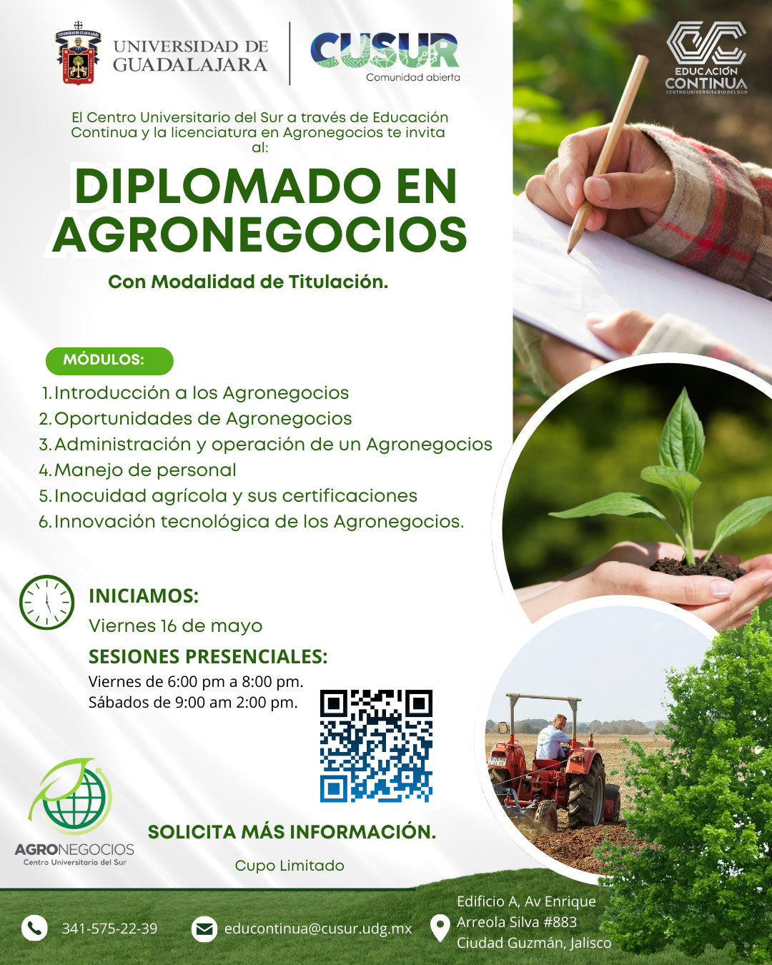 Diplomado en Agronegocios