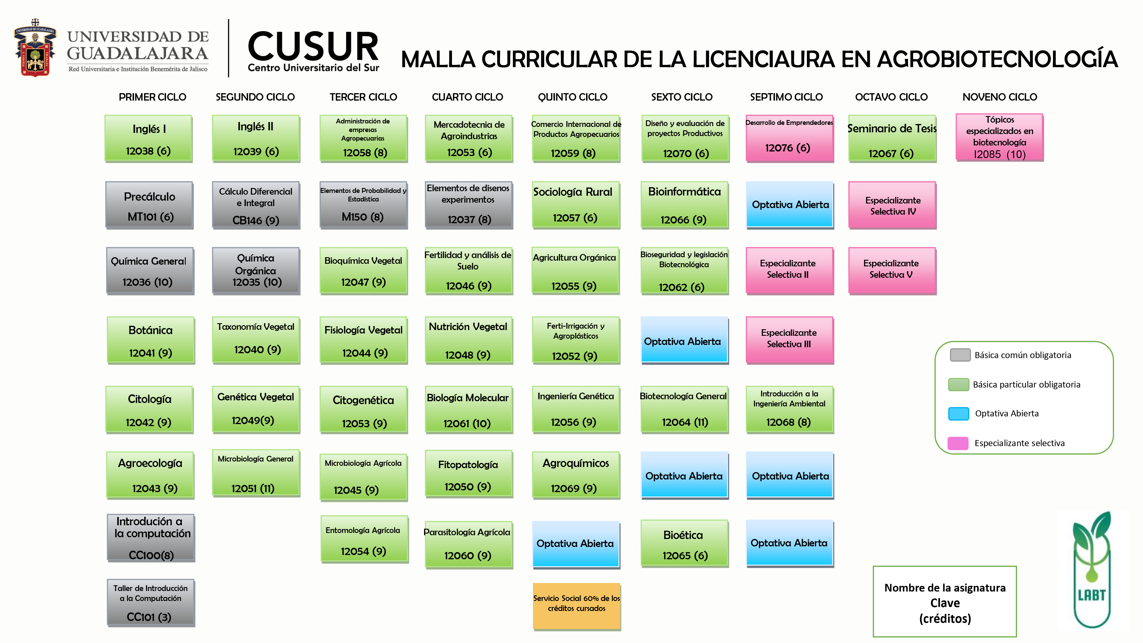 Mapa Curricular de la Licenciatura en Agrobiotecnología