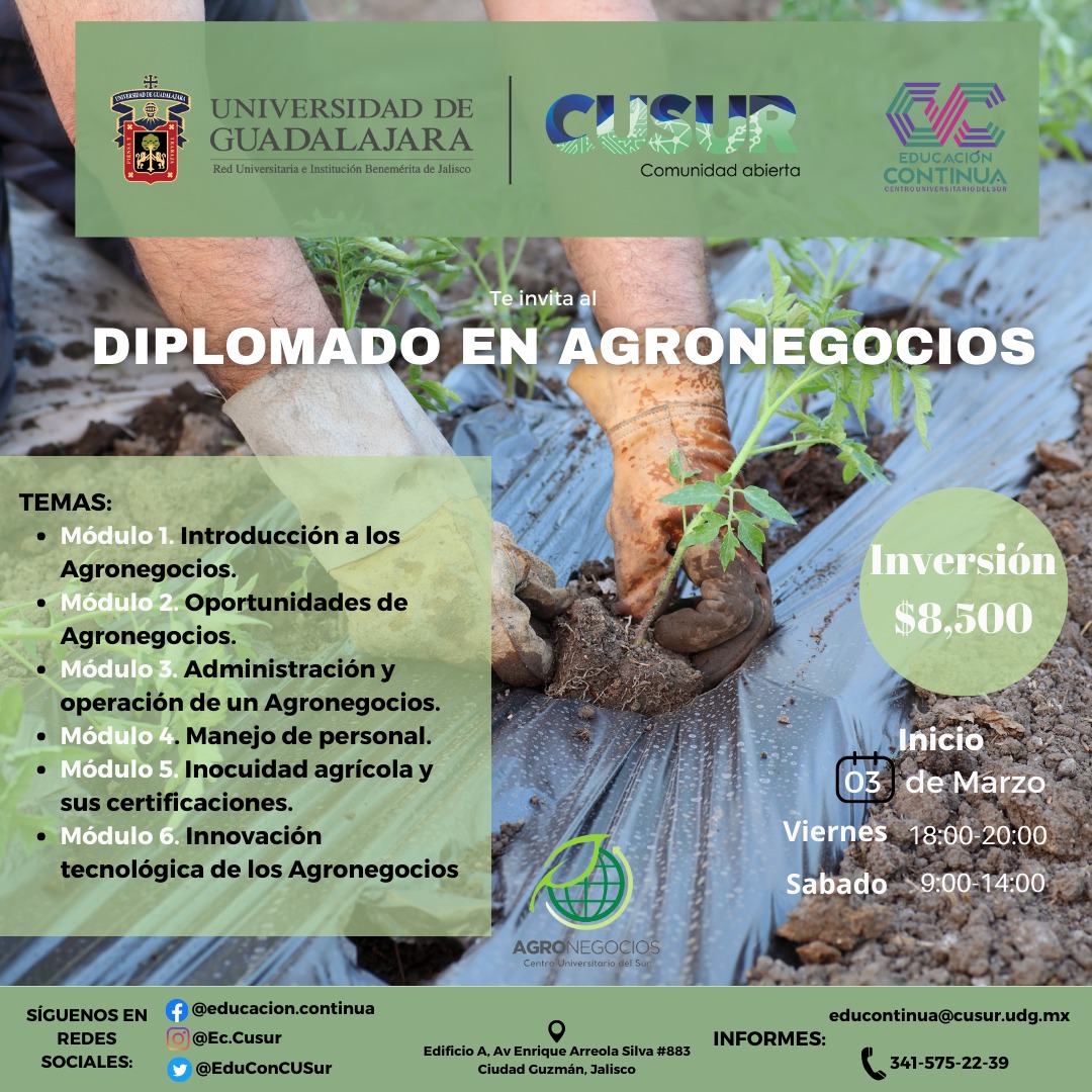 Banner Diplomado en Agronegocios