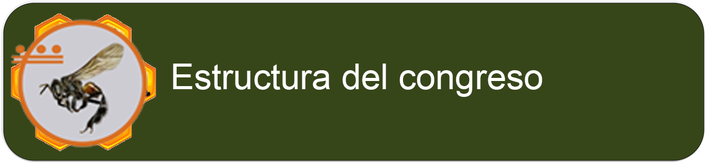estructura congreso
