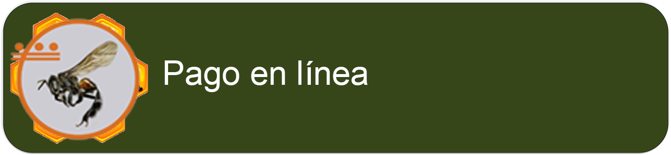 pago en linea congreso