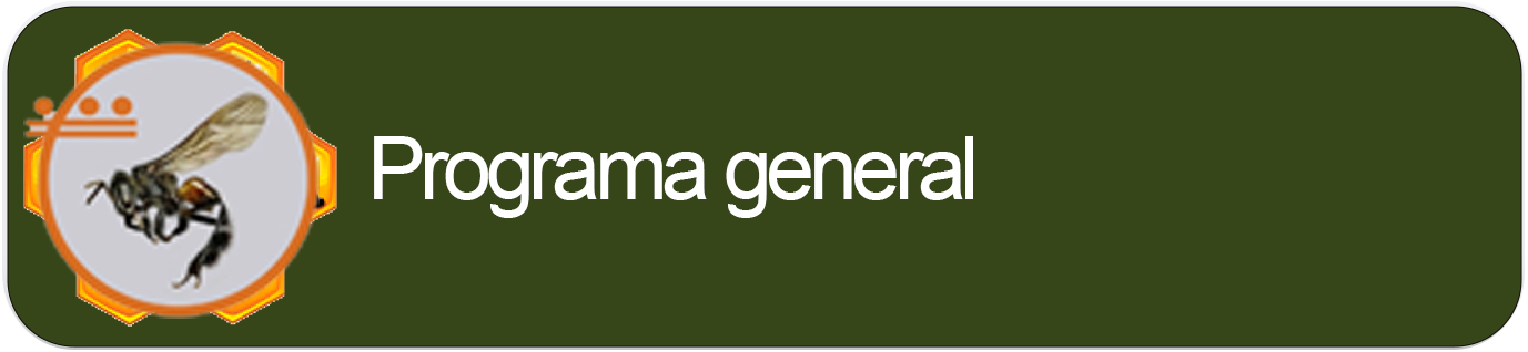 programa general
