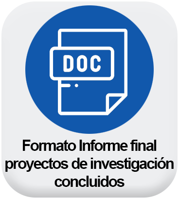 formato informe final proyectos de investigación concluidos