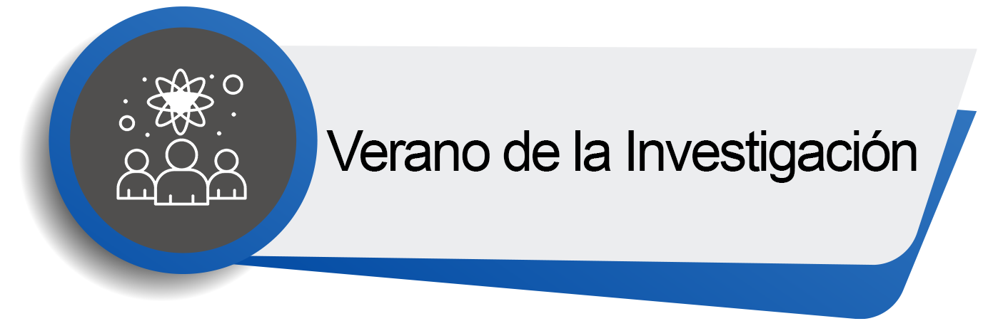 verano de la investigación