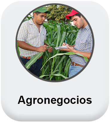 Agronegocios