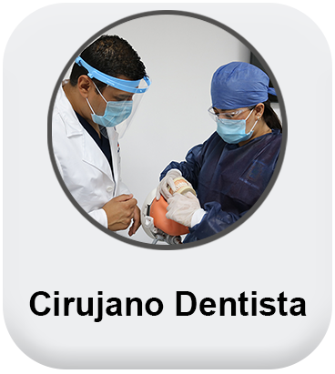 Cirujano Dentista