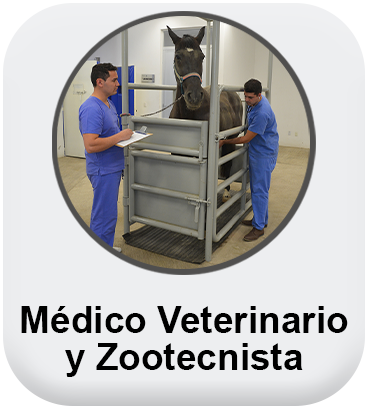 Médico Veterinario y Zootecnista