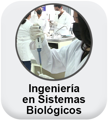 Ingeniería en Sistemas Biológicos