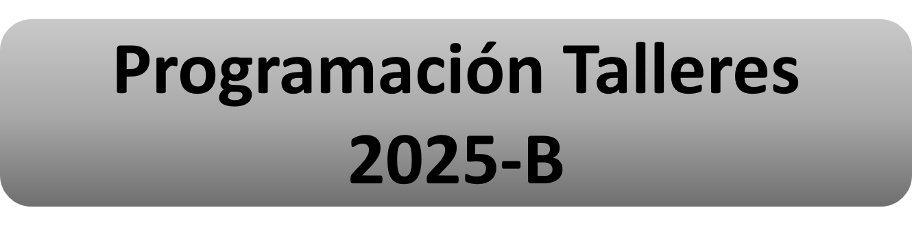Programación Talleres 2025B