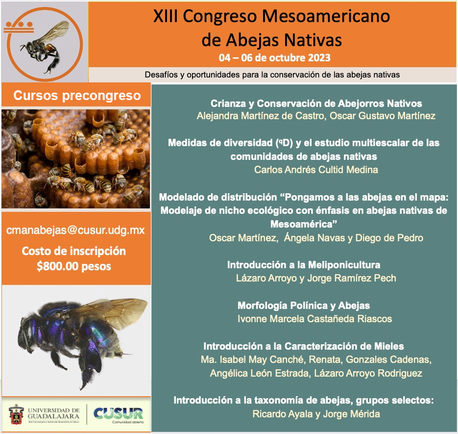 Portada principal del 13 congreso mesoamericano de abejas nativas