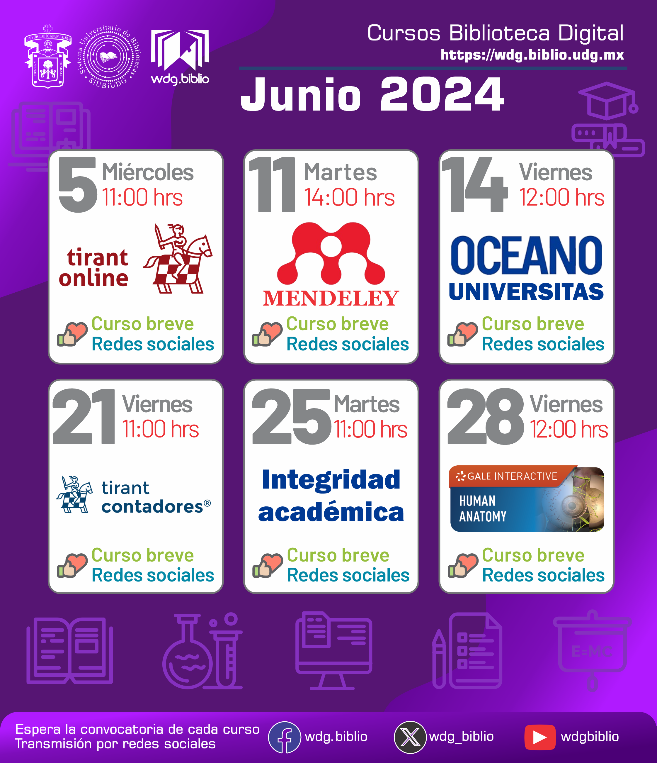 Cursos Biblioteca Digital 2024
