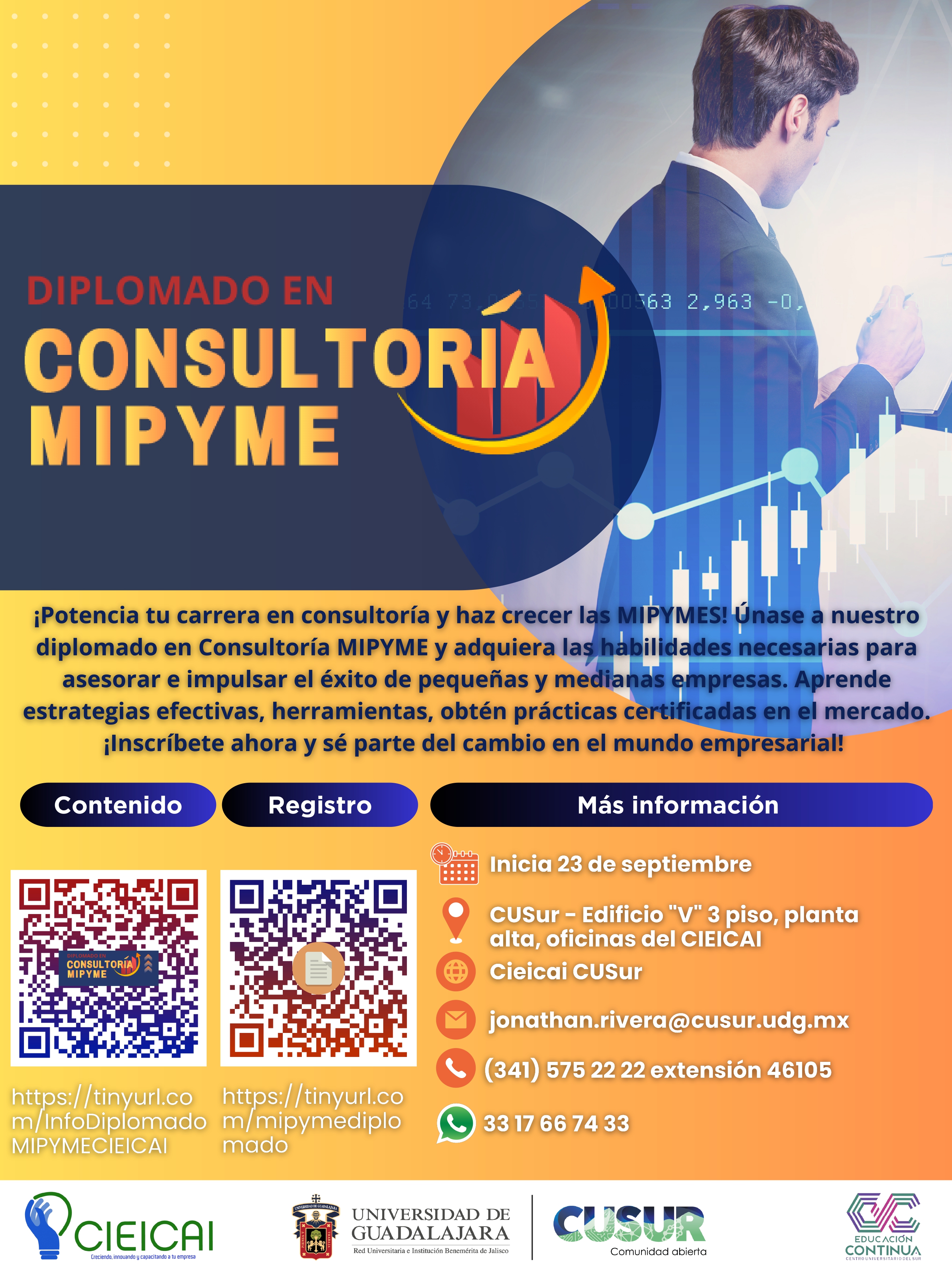 Diplomado en Consultoría MiPyMe
