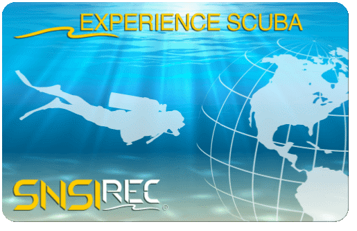 Imagen Experiencia de Buceo