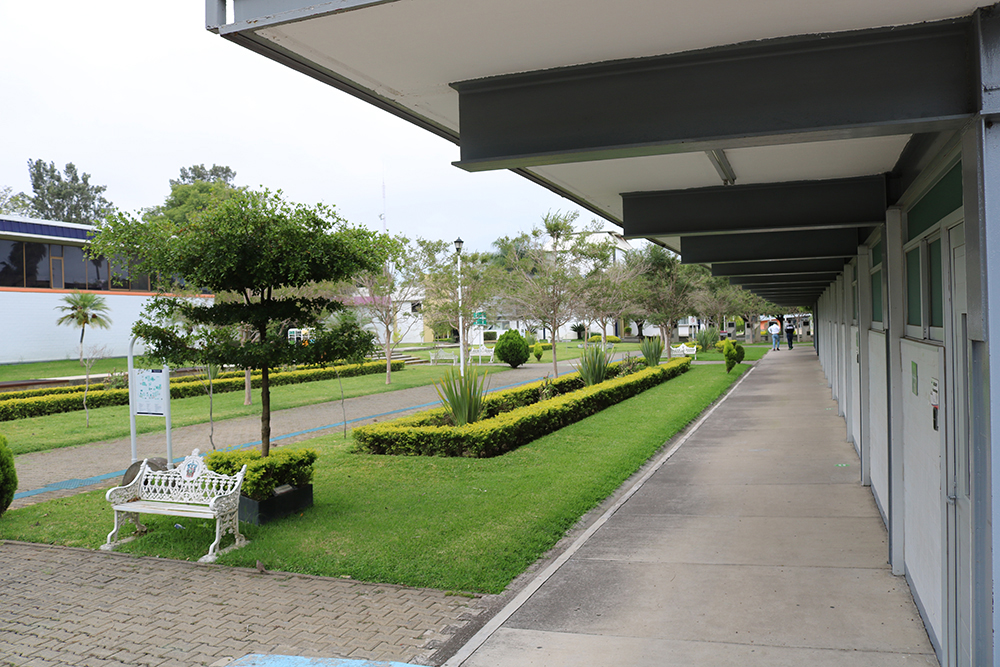 Centro Universitario del Sur - Universidad de Guadalajara