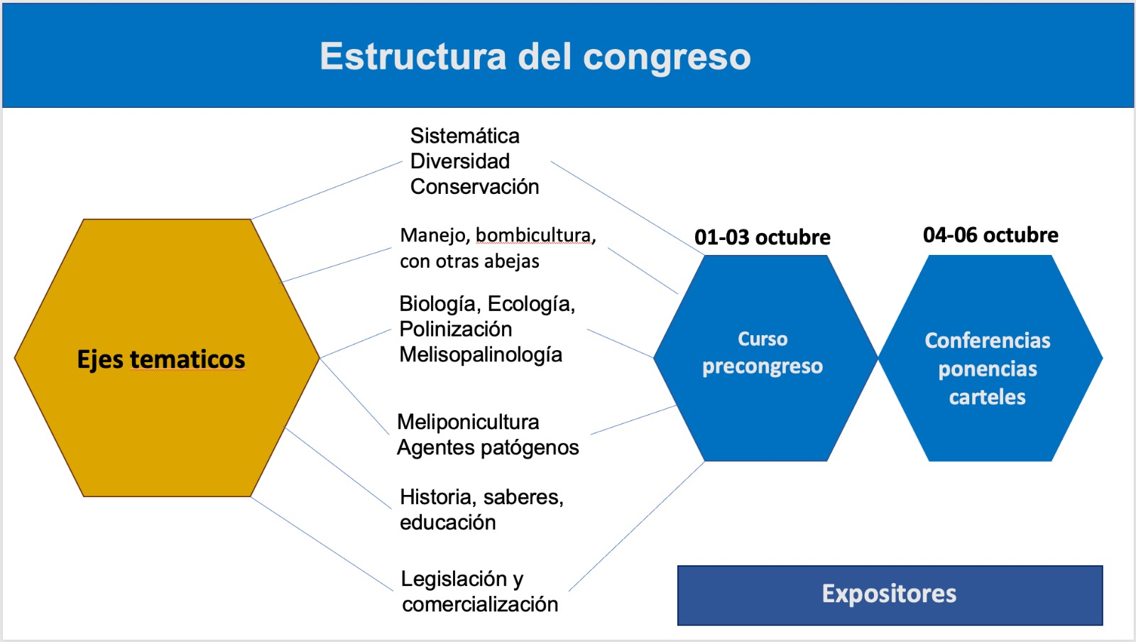 estructura congreso