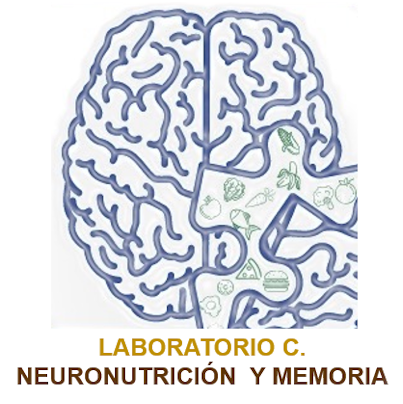 logo Neuro Nutrición y Memoria