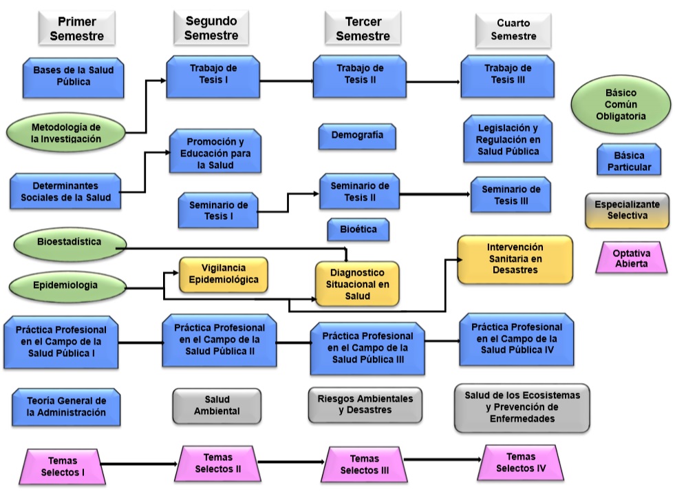 Imagen Malla curricular MSP