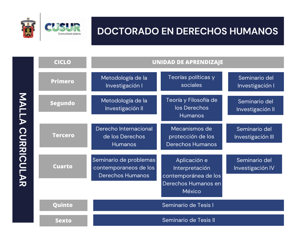 Malla curricular DDH