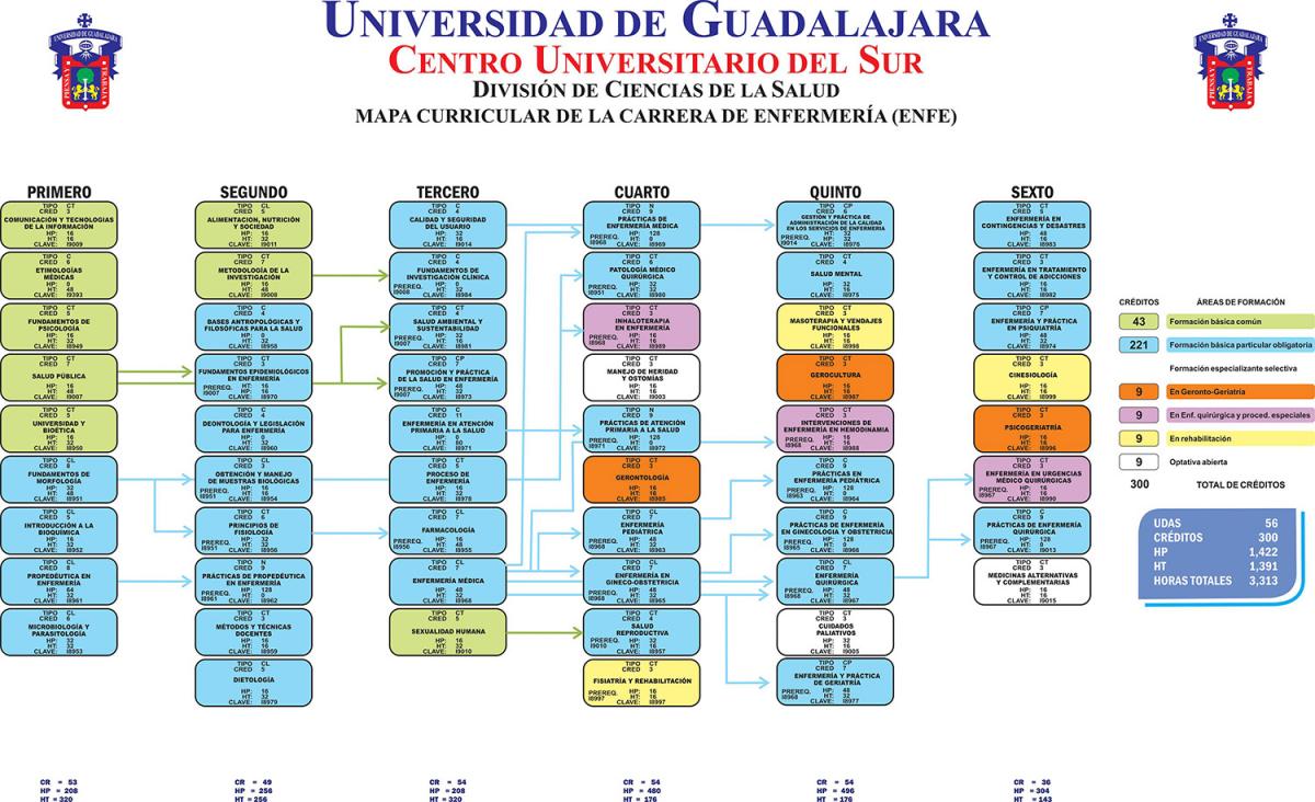 Imagen mapa curricular tecnica enfe