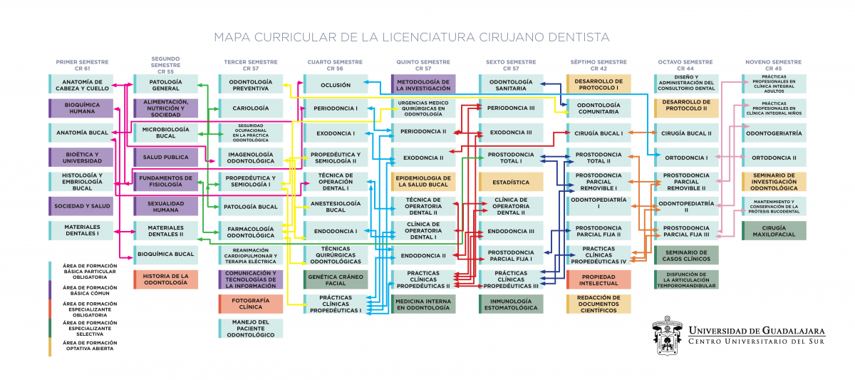 Mapa Curricular de la Licenciatura en Cirujano Dentista