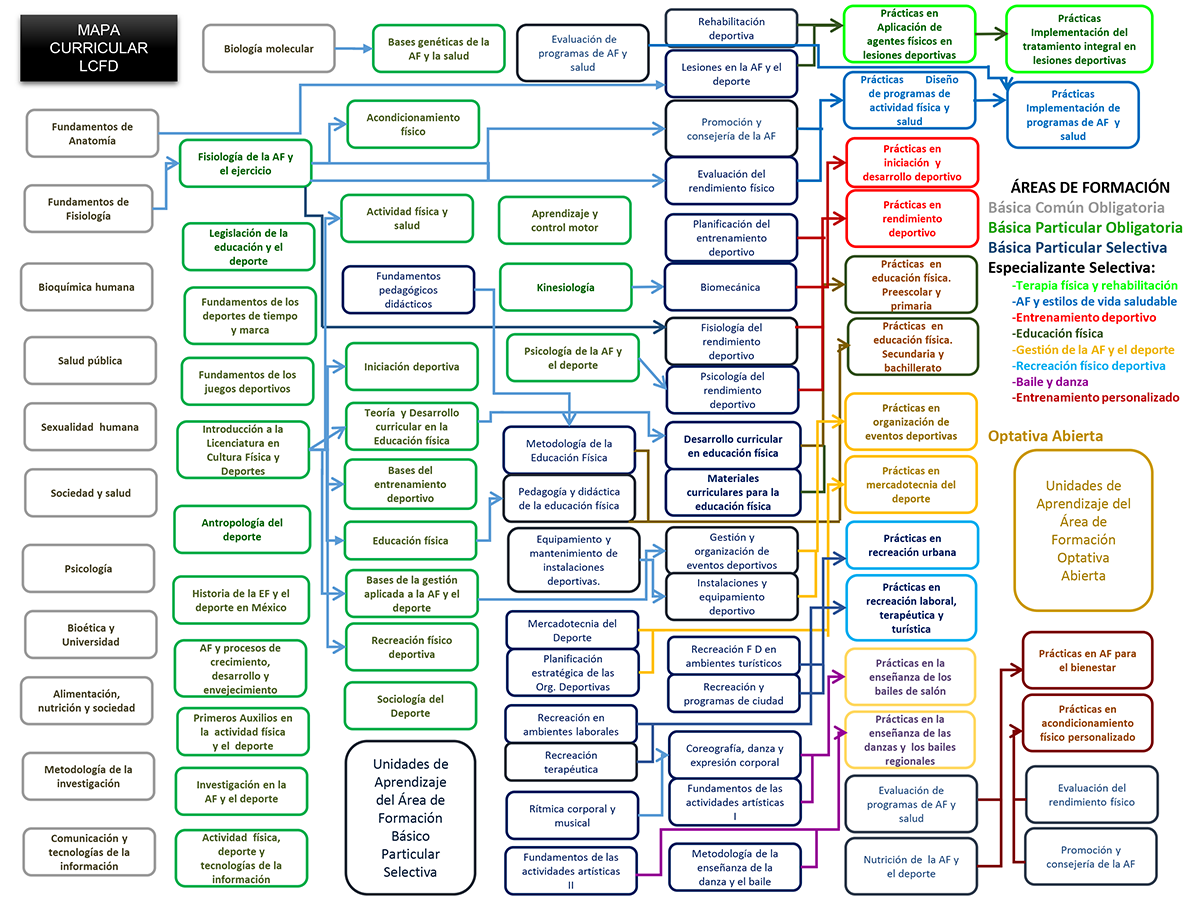 Mapa Curricular de la Licenciatura en Cultura Física y Deportes