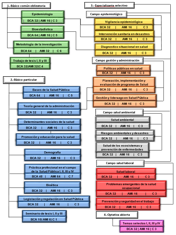 Imagen Mapa curricular MSP