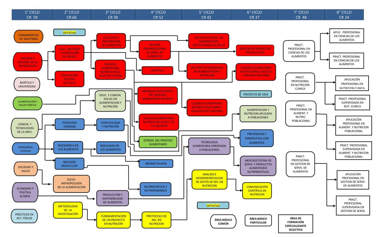 Mapa curricular de la Licenciatura en Nutrición