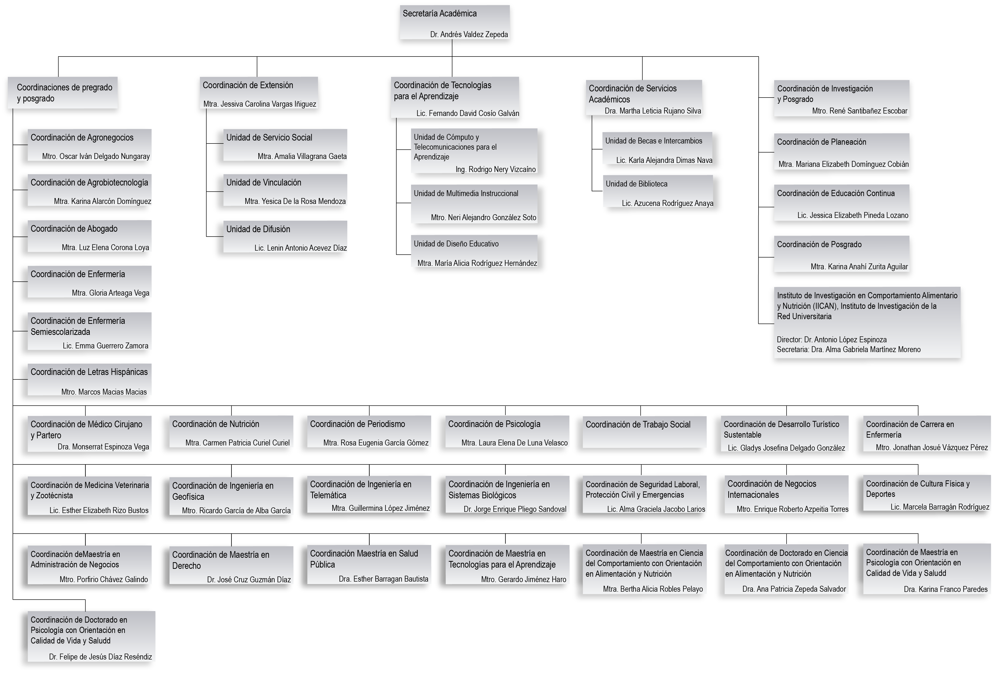 Organigrama Secretaría Académica