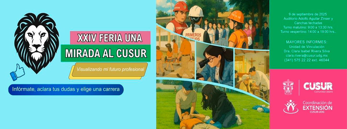 Una Mirada al CUSur 2025-B